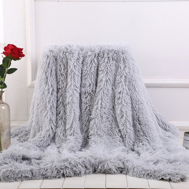 Blanket